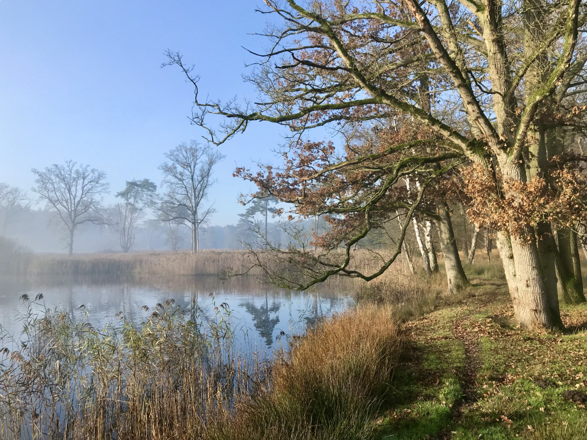 Landgoed Wellenseind breidt uit met 37 hectare natuur